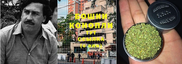 каннабис Дмитриев