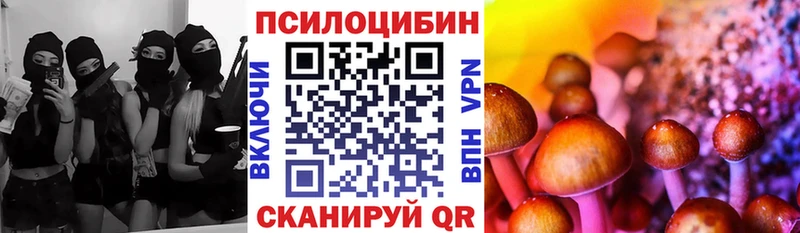 Псилоцибиновые грибы мицелий  Приволжский 